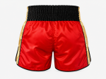 Premium Authentic Muay Thai Shorts - Image 2