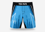 Premium Pro MMA Fight Shorts