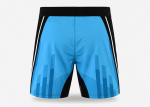 Premium Pro MMA Fight Shorts - Image 2