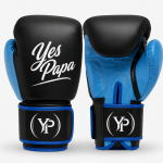 Premium Pro Muay Thai Gloves