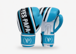 Premium Pro Boxing Gloves
